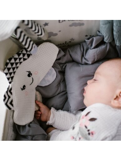 Babyono väike lame pilv 1534 4