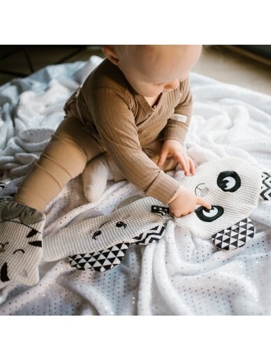 Babyono väike lame pilv 1534 5 Babyono väike lame pilv 1534 5