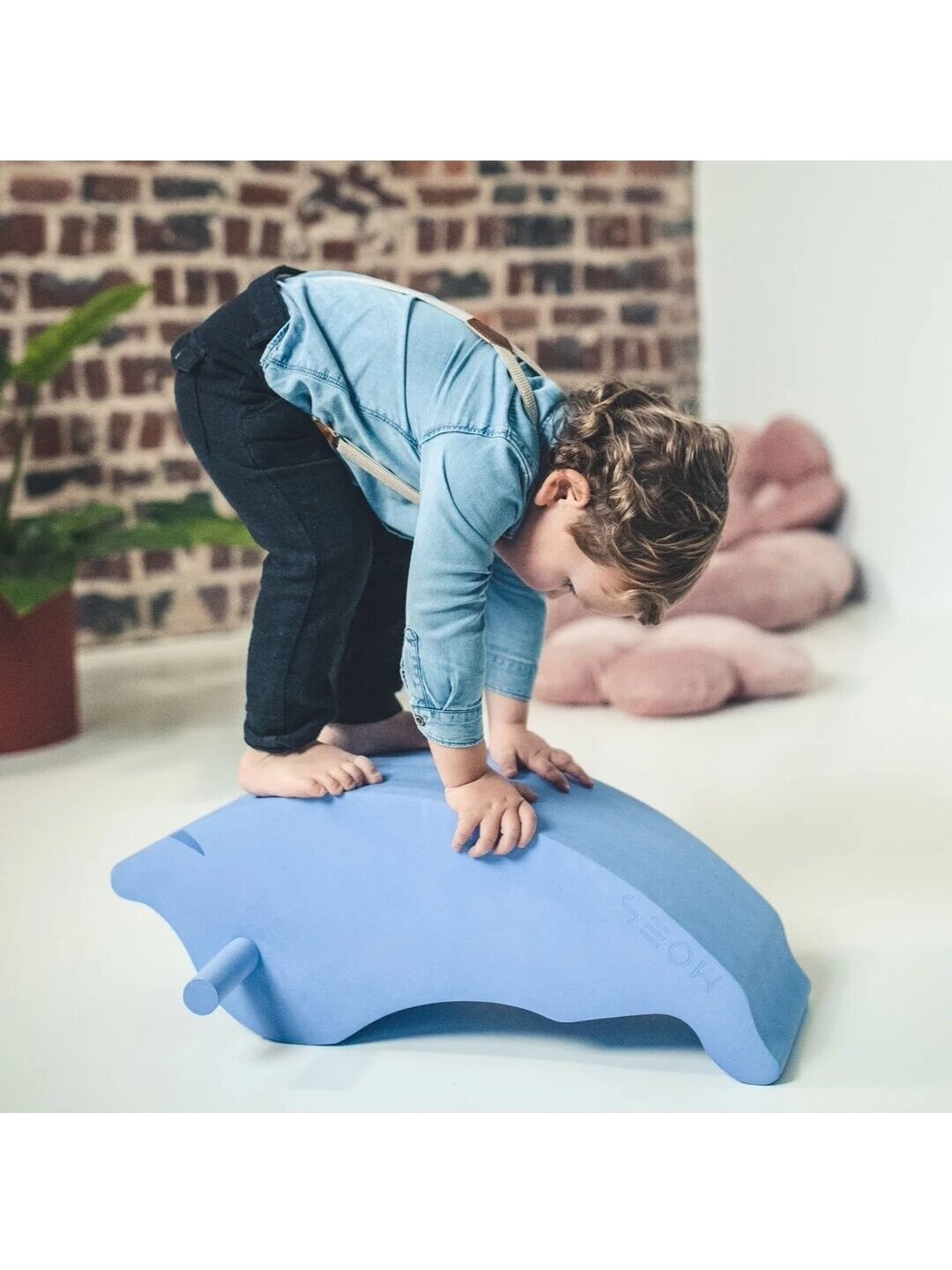 Dolphin, MOES, 1y+ 1 Dolphin, MOES, 1y+ 1
