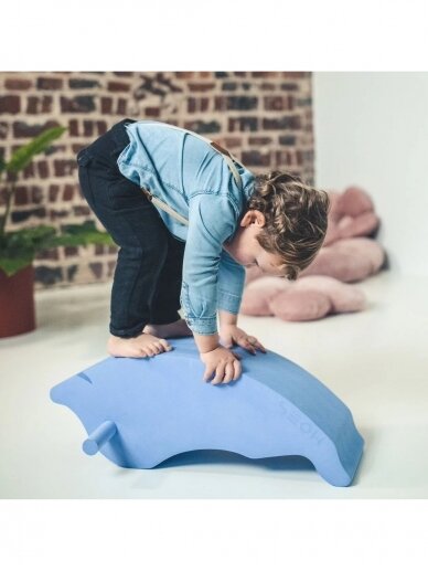 Dolphin, MOES, 1y+ 1 Dolphin, MOES, 1y+ 1