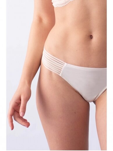 Project Me Ambition Brazillian Brief 1 Project Me Ambition Brazillian Brief 1