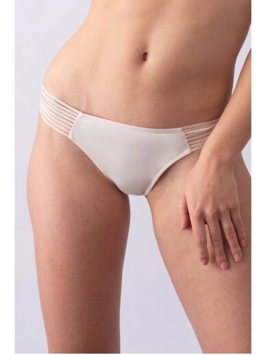Project Me Ambition Brazillian Brief 2 Project Me Ambition Brazillian Brief 2