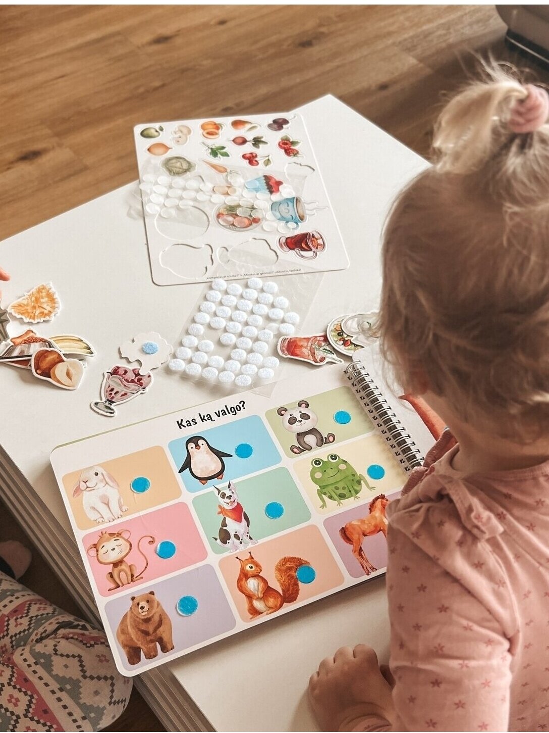 My second educational activity book with reusable stickers, Skilsas  1