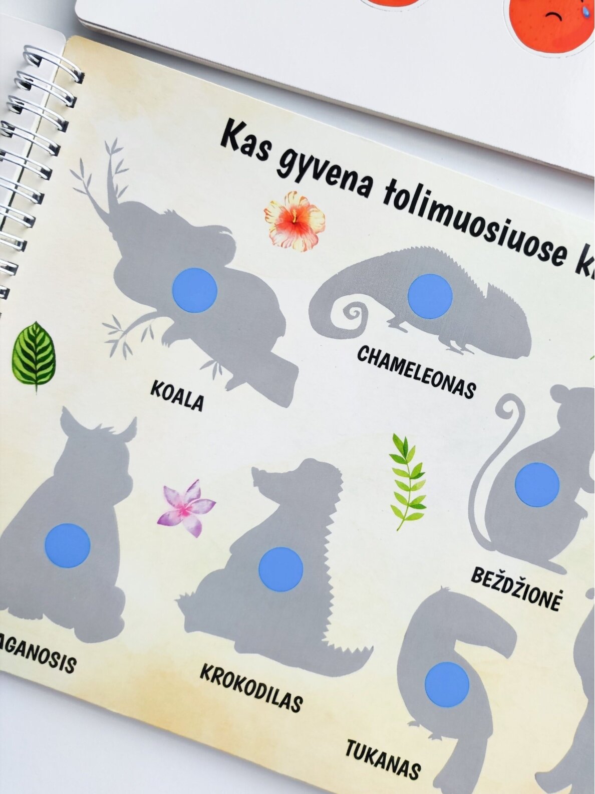 My third educational activity book with reusable stickers, Skilsas 3 My third educational activity book with reusable stickers, Skilsas 3