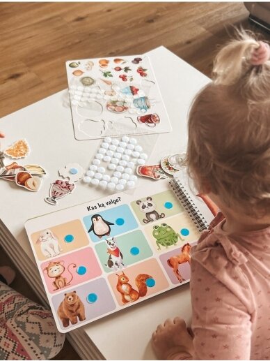 My second educational activity book with reusable stickers, Skilsas  1