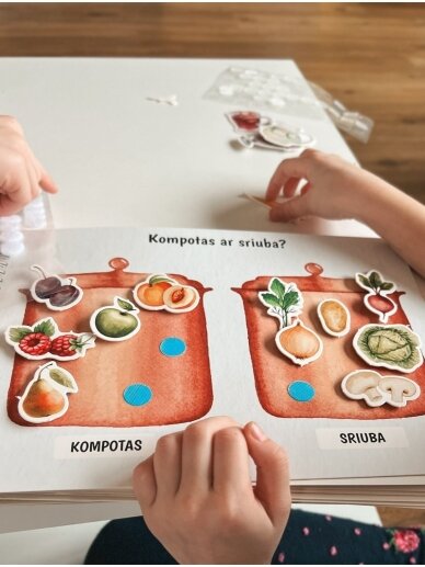 My second educational activity book with reusable stickers, Skilsas