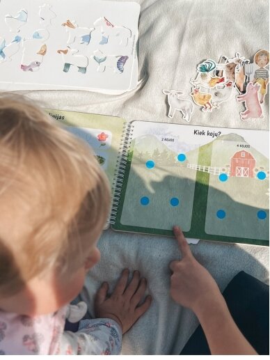 My second educational activity book with reusable stickers, Skilsas  8