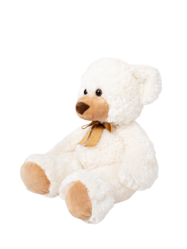 Soft teddy bear Roger