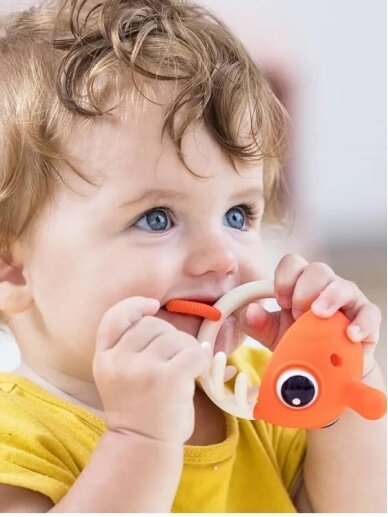 MOMBELLA teether Clownfish 3 in 1, 3 months+ 1