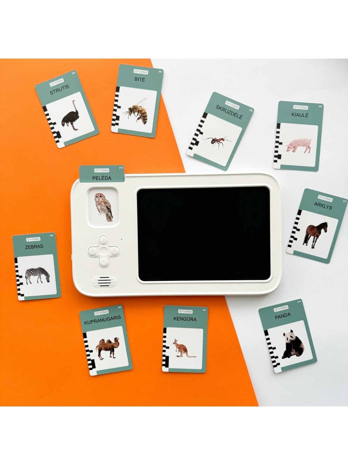 Yes For Skills Lithuanian-voiced cards "Talking Cards" with a drawing tablet 11 Yes For Skills Lithuanian-voiced cards "Talking Cards" with a drawing tablet 11